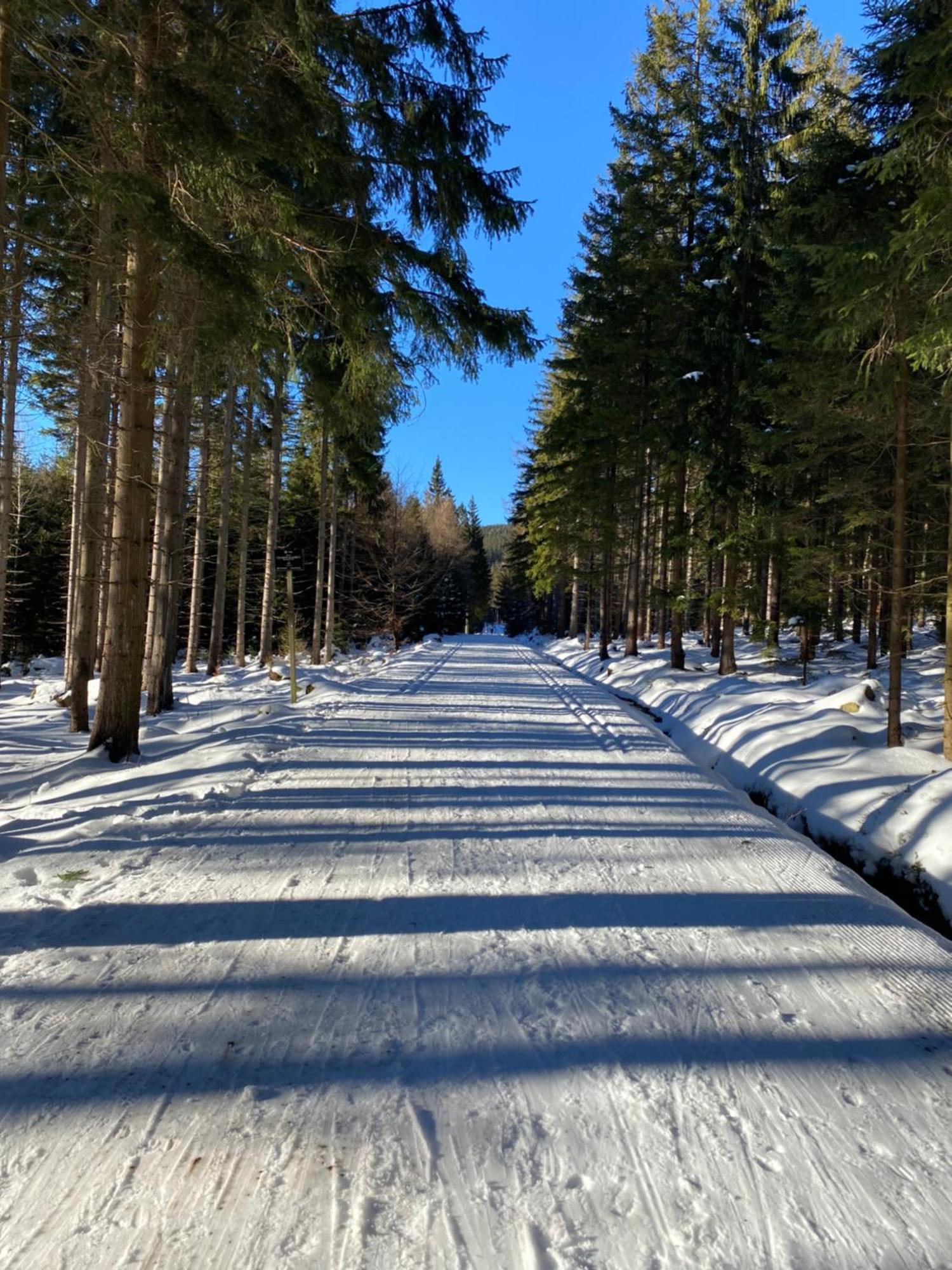 Kwaterka Familijna Sklářská Poruba Exteriér fotografie